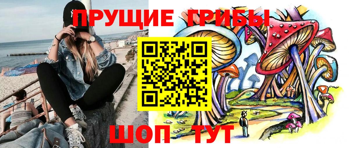 Псилоцибиновые грибы GOLDEN TEACHER  Вход с VPN  Нурлат 